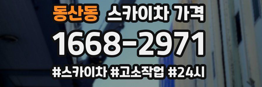 동산동 스카이차 가격
