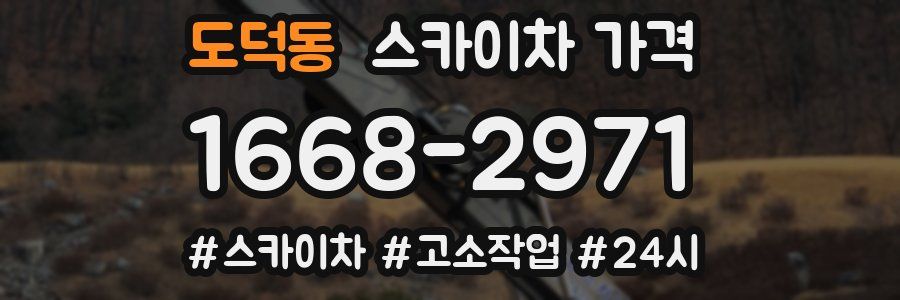 도덕동 스카이차 가격