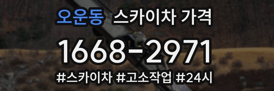 오운동 스카이차 가격