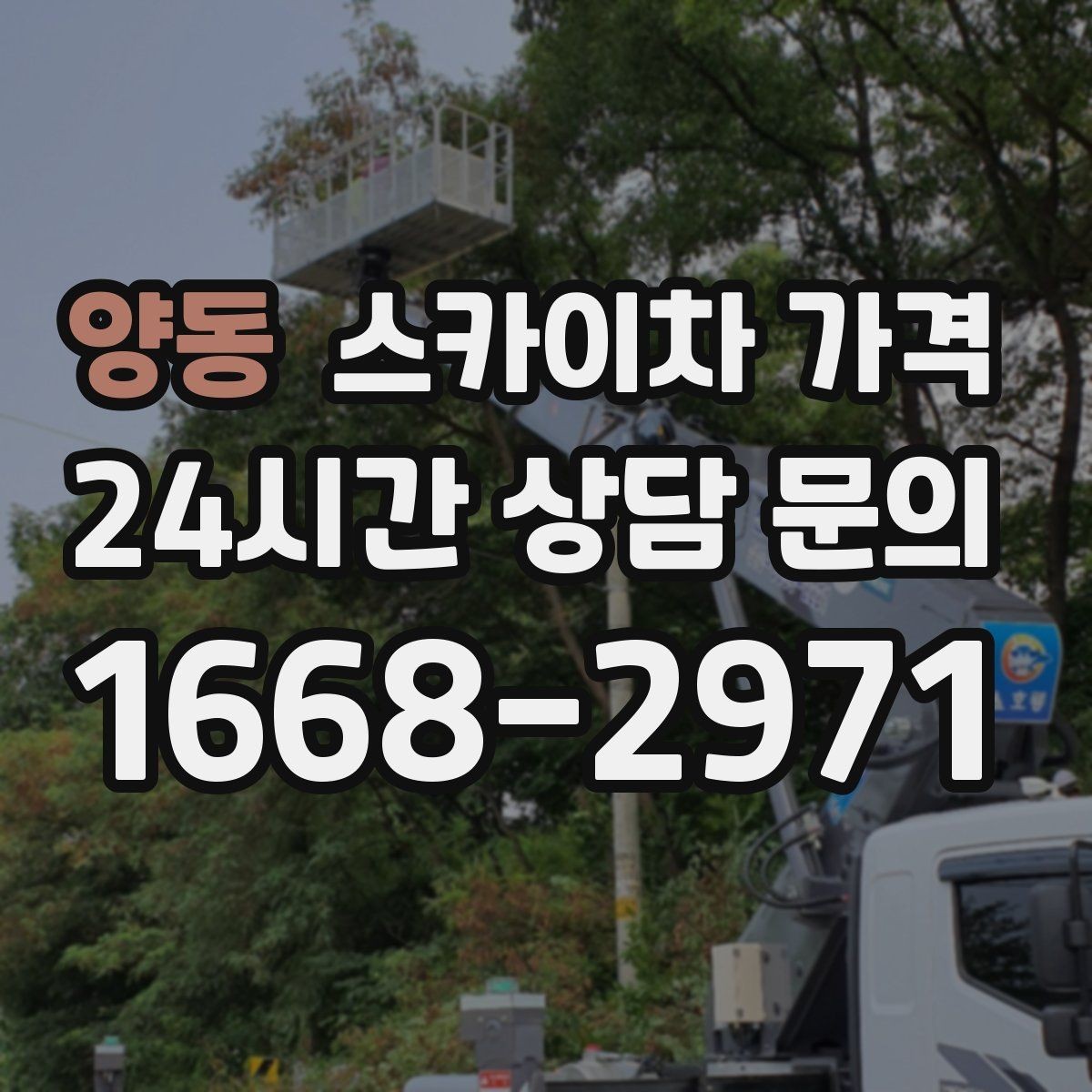 양동 스카이차 가격 자재 하역·정리가 필요한 경우 체크 포인트