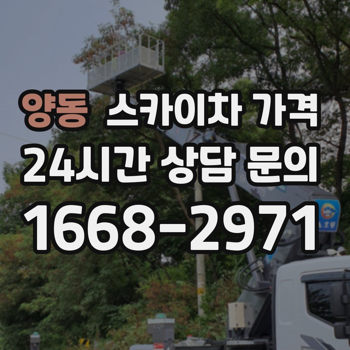 양동 스카이차 가격