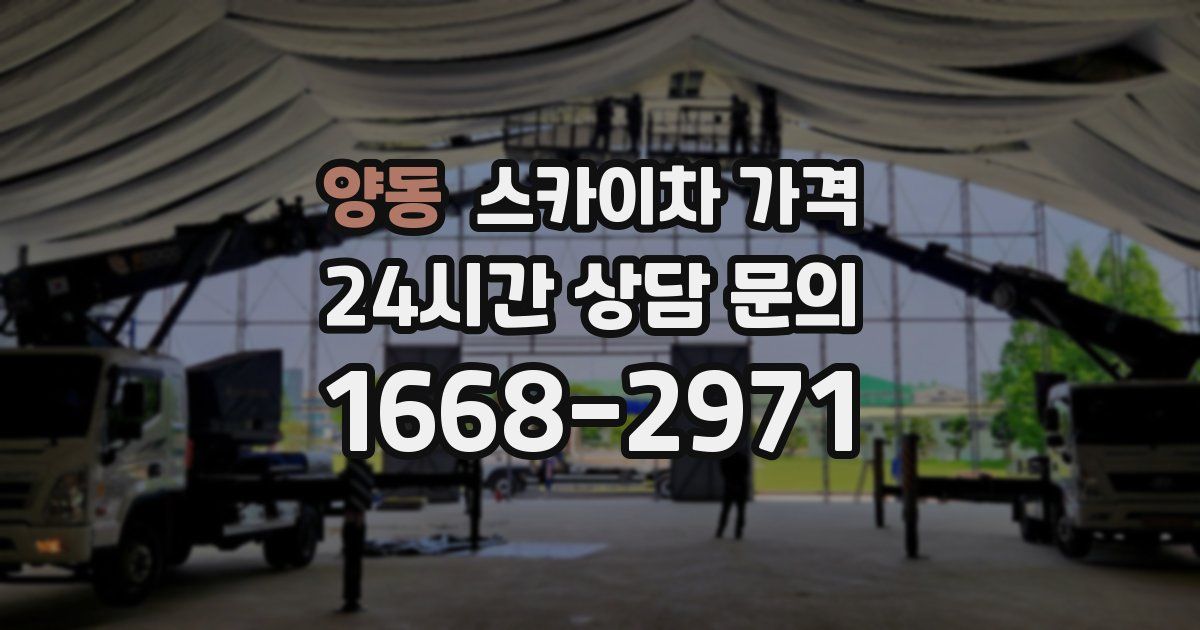 양동 스카이차 가격