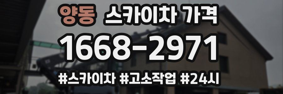 양동 스카이차 가격