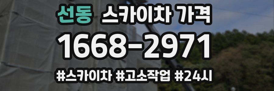 선동 스카이차 가격