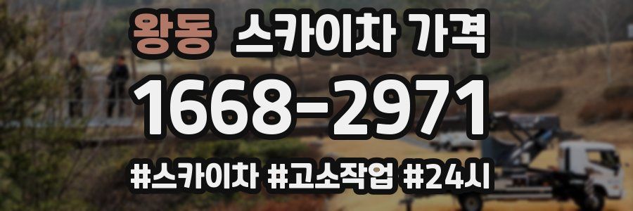 왕동 스카이차 가격