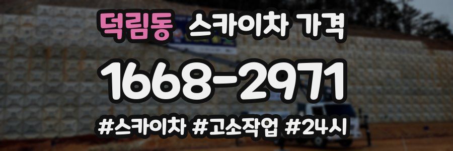 덕림동 스카이차 가격