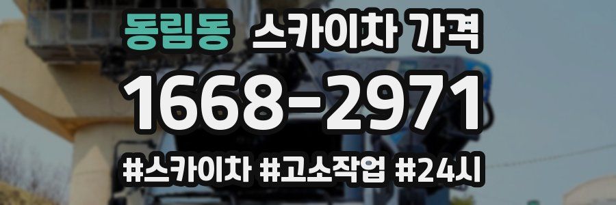 동림동 스카이차 가격