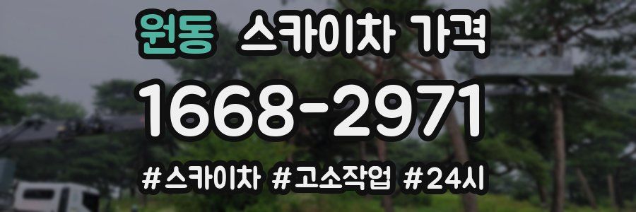 원동 스카이차 가격