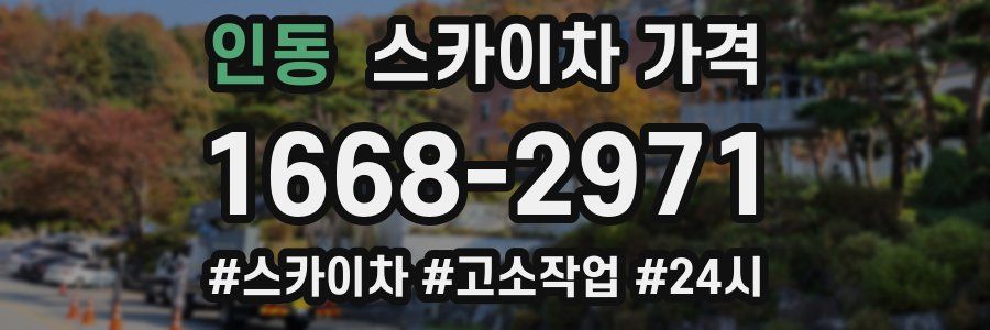 인동 스카이차 가격