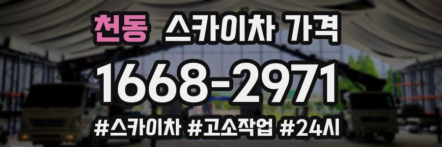 천동 스카이차 가격