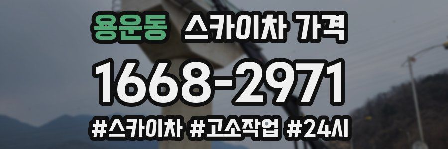 용운동 스카이차 가격