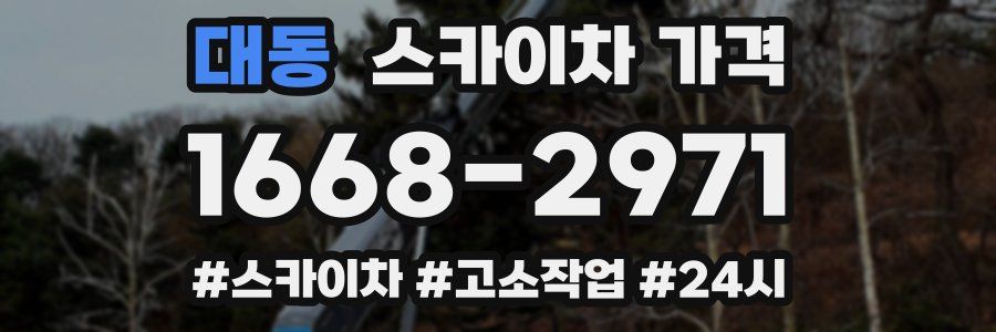 대동 스카이차 가격