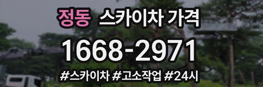 정동 스카이차 가격