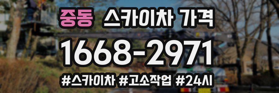 중동 스카이차 가격