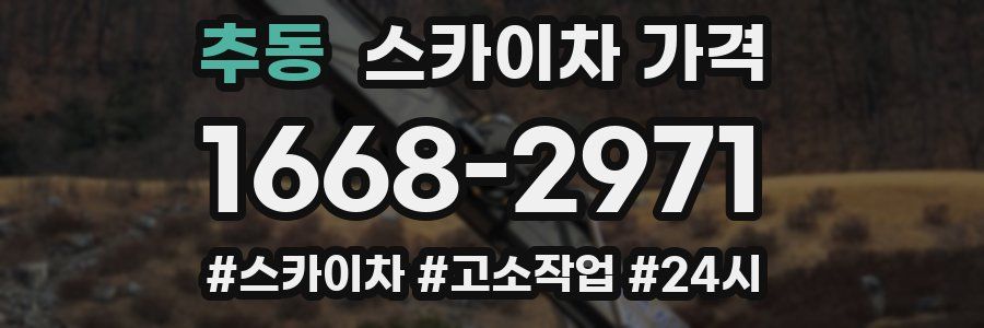 추동 스카이차 가격