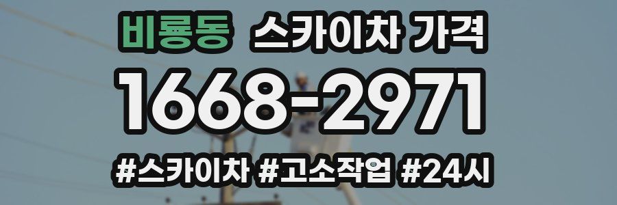 비룡동 스카이차 가격