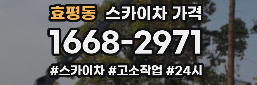 효평동 스카이차 가격