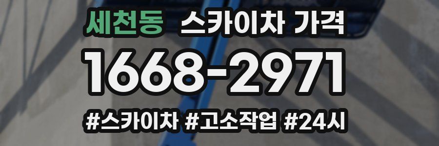 세천동 스카이차 가격