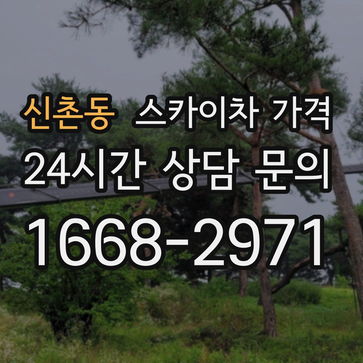 신촌동 스카이차 가격