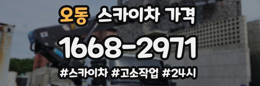 오동 스카이차 가격