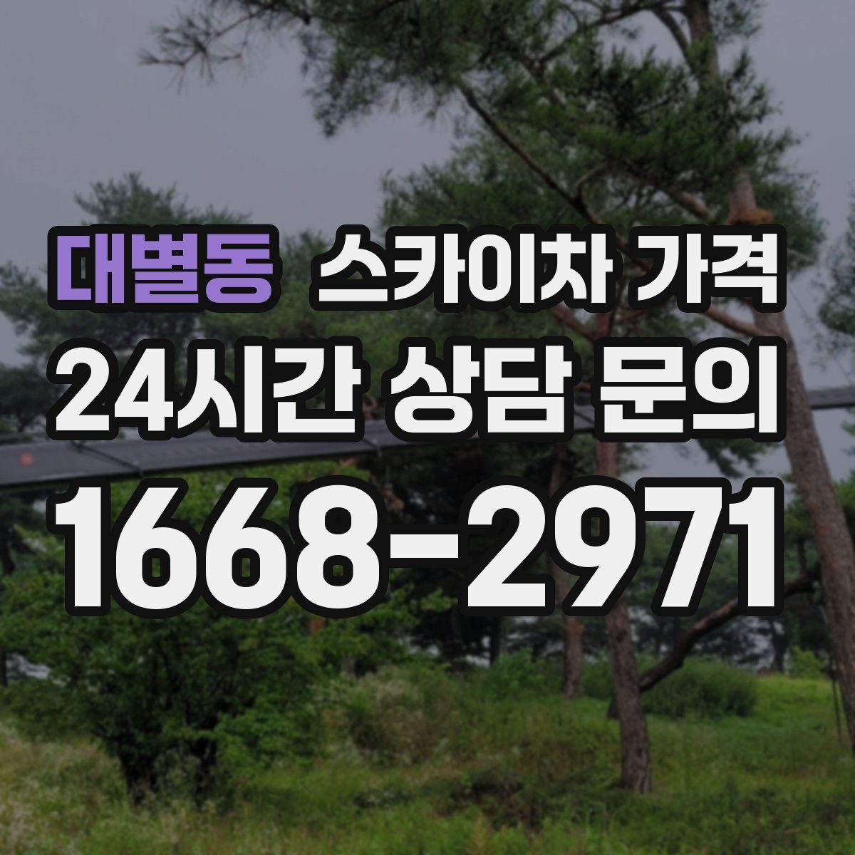 대별동 스카이차 가격