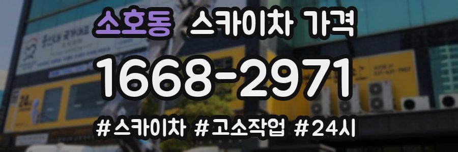 소호동 스카이차 가격