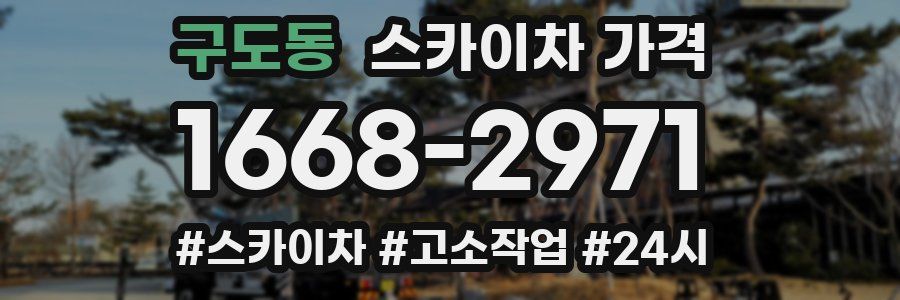 구도동 스카이차 가격