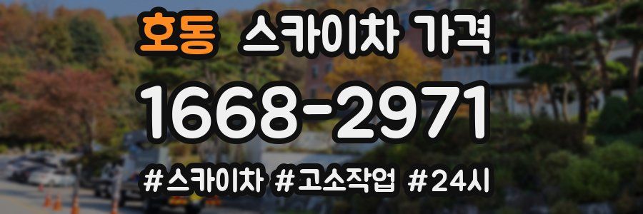 호동 스카이차 가격