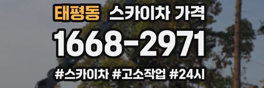 태평동 스카이차 가격