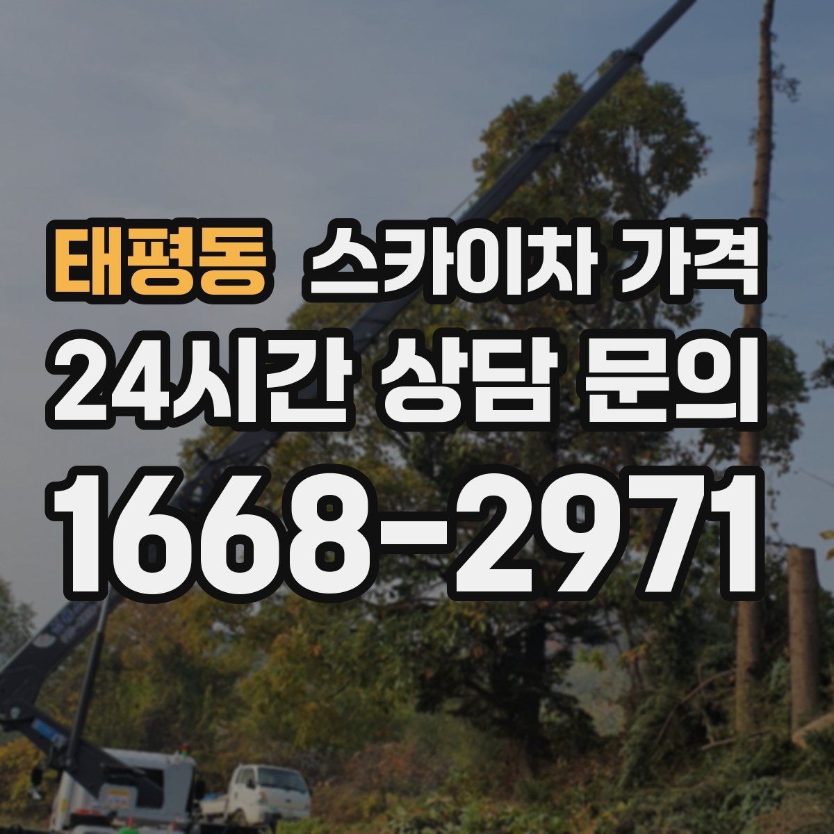 태평동 스카이차 가격