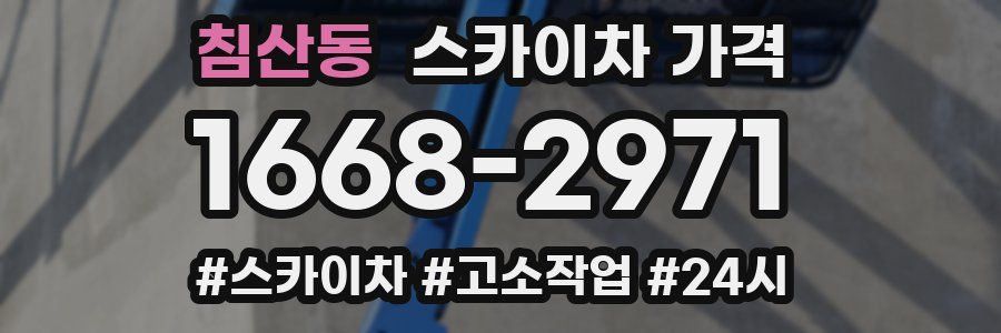 침산동 스카이차 가격