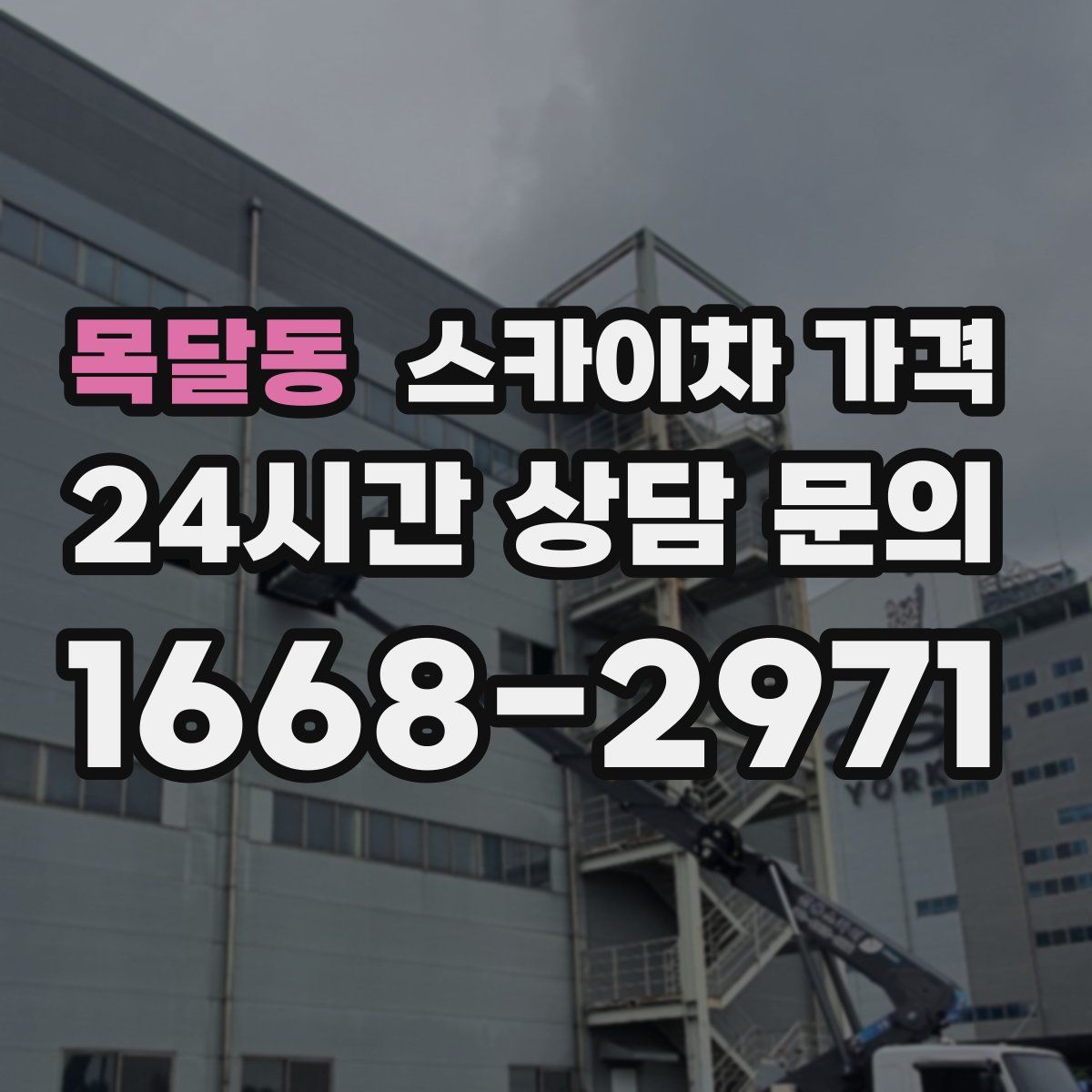 목달동 스카이차 가격