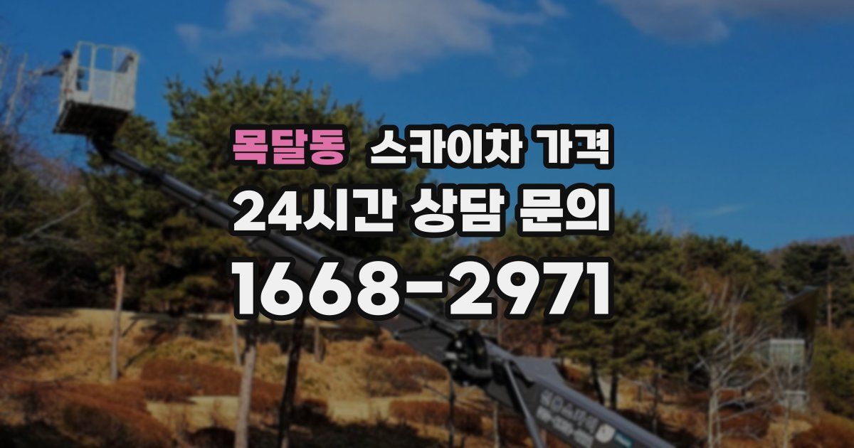 목달동 스카이차 가격