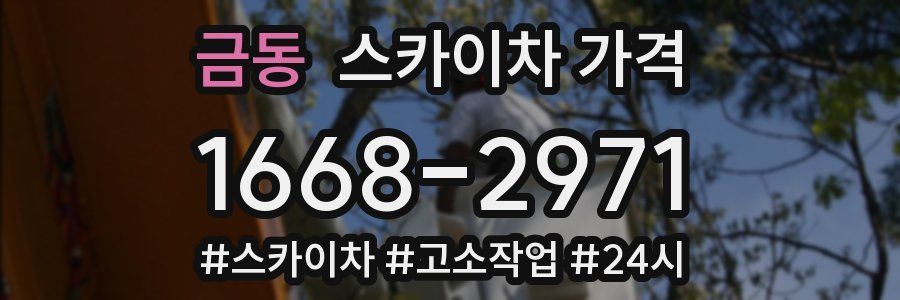 금동 스카이차 가격