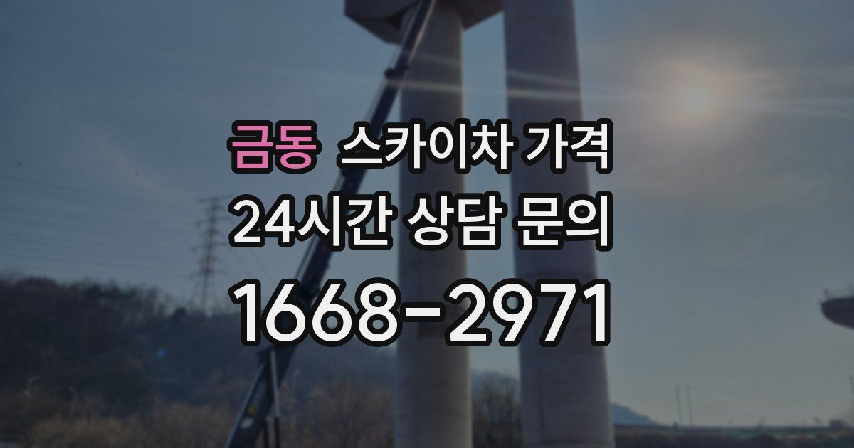 금동 스카이차 가격