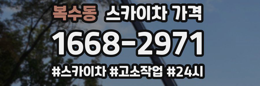 복수동 스카이차 가격