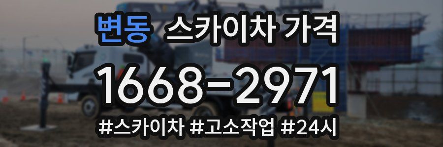 변동 스카이차 가격