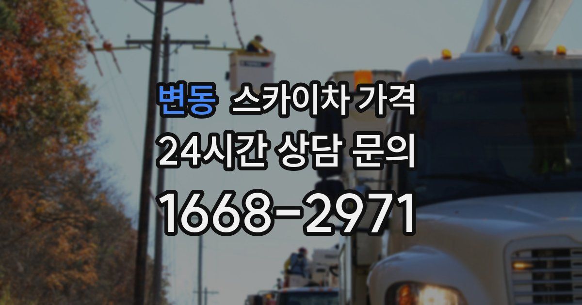 변동 스카이차 가격