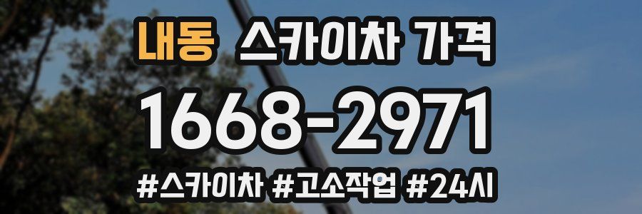 내동 스카이차 가격