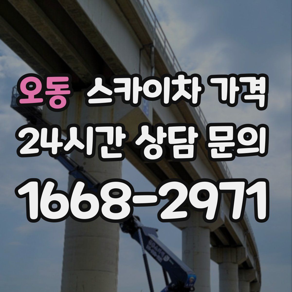 오동 스카이차 가격