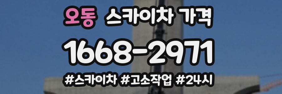 오동 스카이차 가격