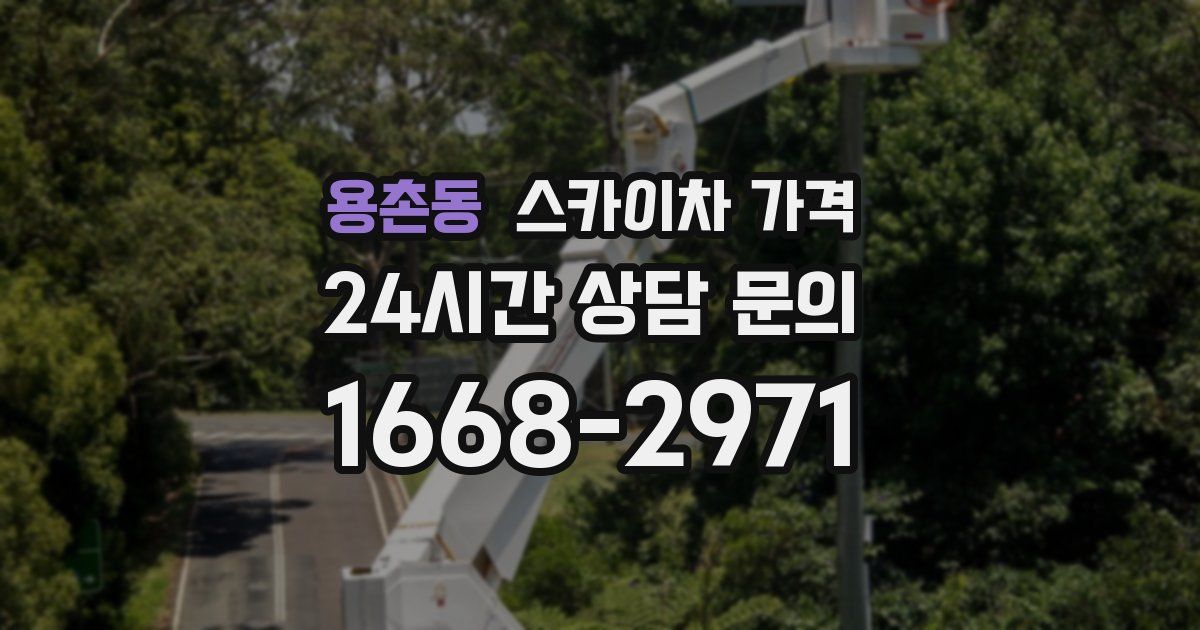 용촌동 스카이차 가격