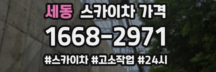 세동 스카이차 가격