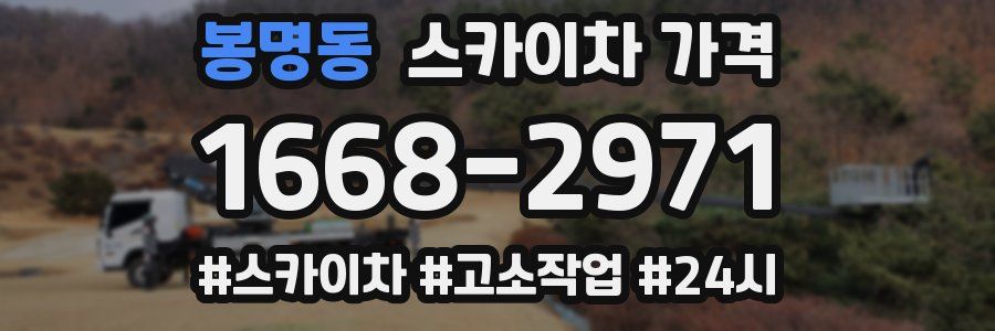 봉명동 스카이차 가격