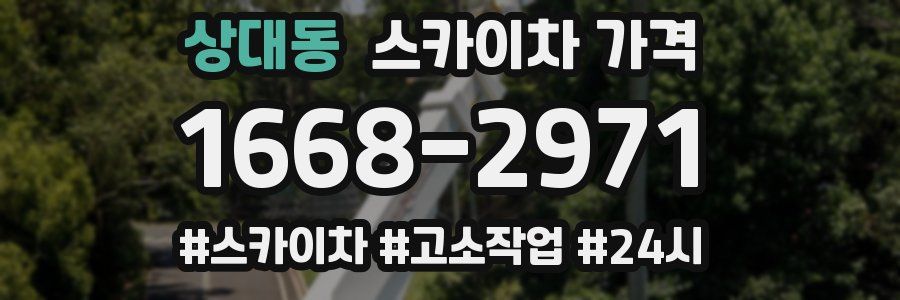 상대동 스카이차 가격