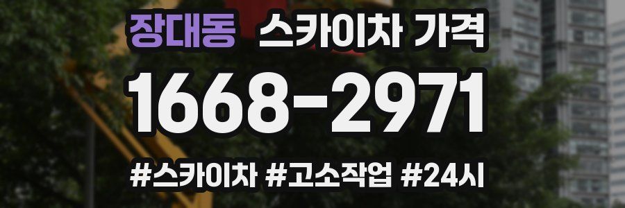 장대동 스카이차 가격