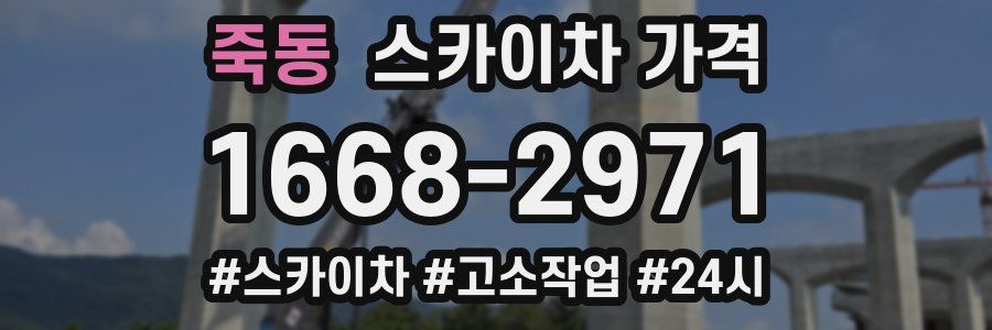 죽동 스카이차 가격