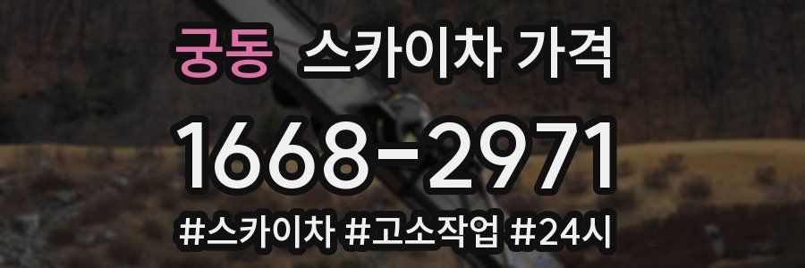 궁동 스카이차 가격