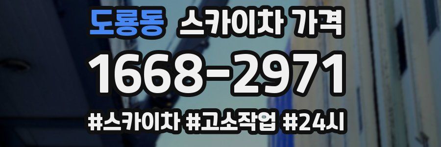 도룡동 스카이차 가격