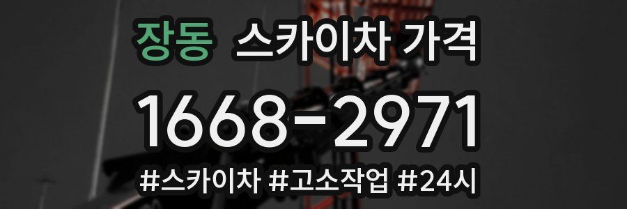 장동 스카이차 가격